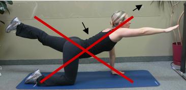 quadruped 5